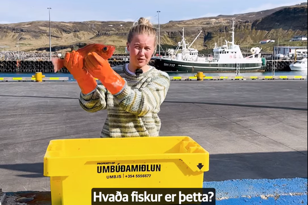 Birta Karen Tryggvadóttir SFS hagfræðingur