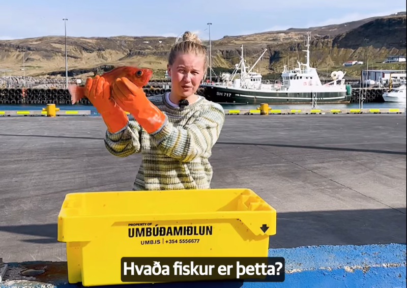 Birta Karen Tryggvadóttir SFS hagfræðingur