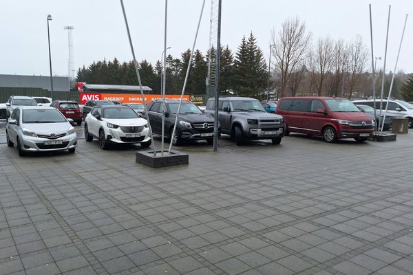 Tugir landsfundargesta fengu sekt