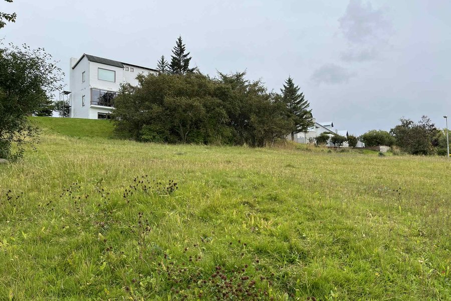 Tillaga um minnismerki um Gunnar Gunnarsson lögð fram í Reykjavík
