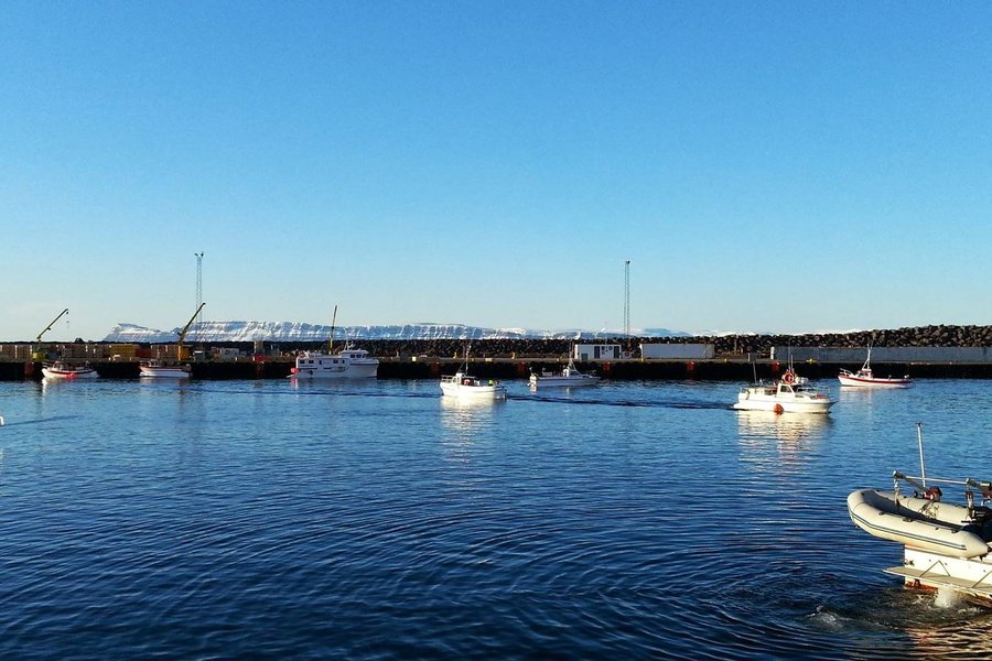 Smábátaeigendur krefjast afnáms kvótakerfis í grásleppuveiðum