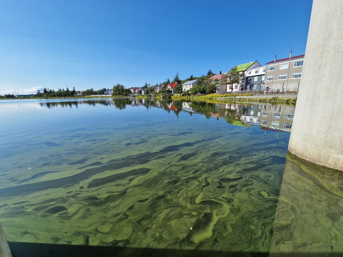 Tjörnin brák