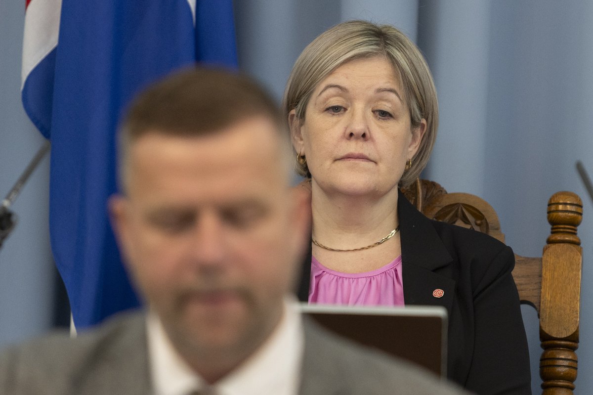 Alþingi í alla nótt