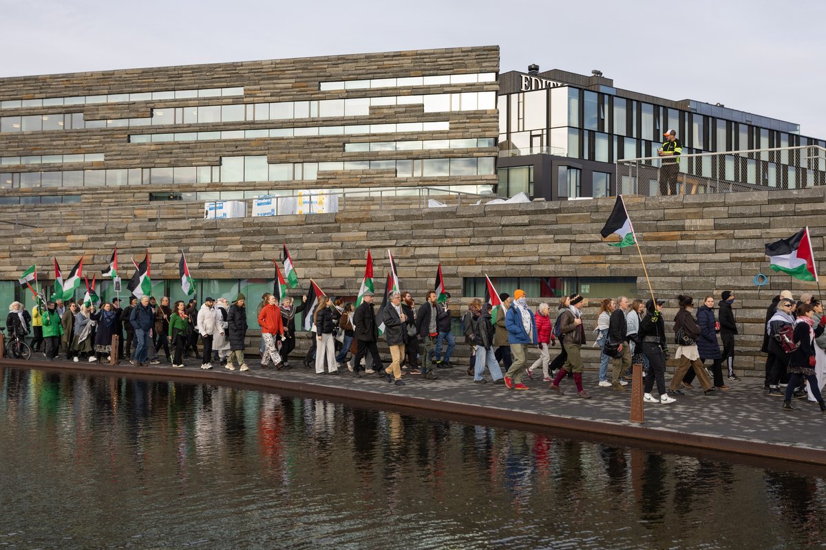 Ísland Palestína mótmæli