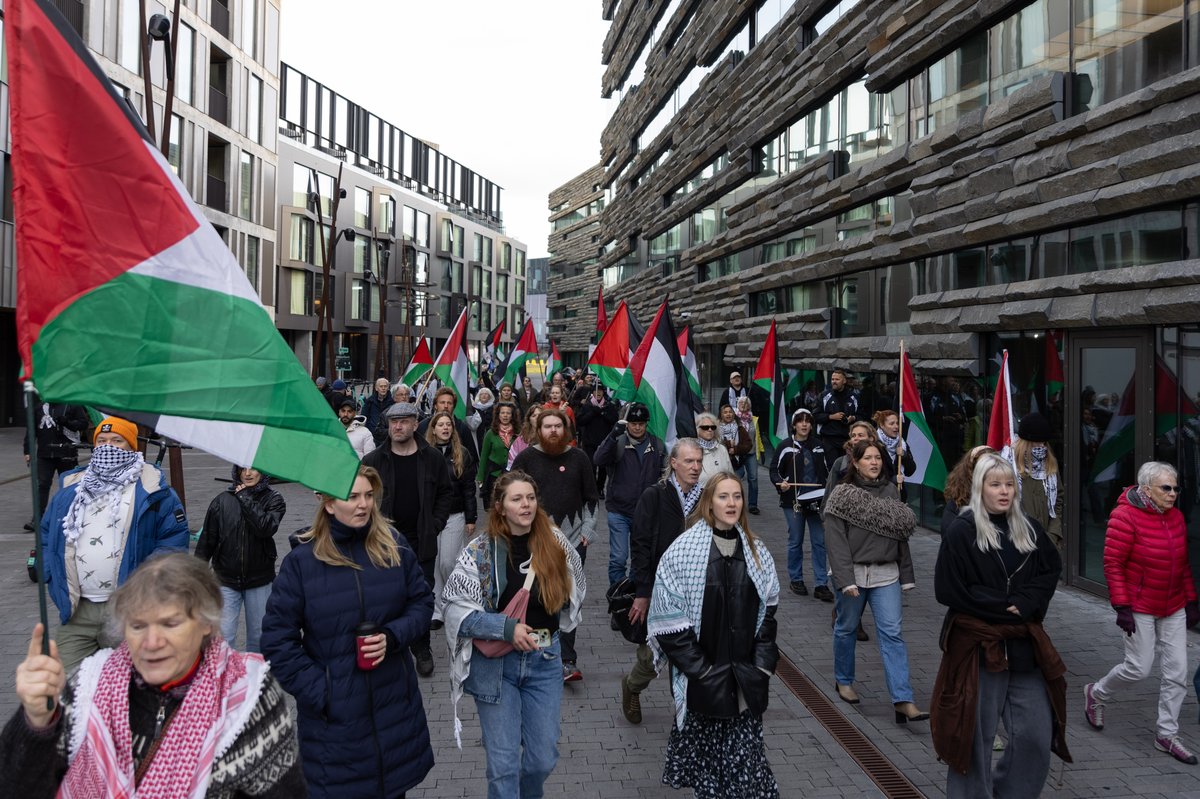 Ísland Palestína mótmæli