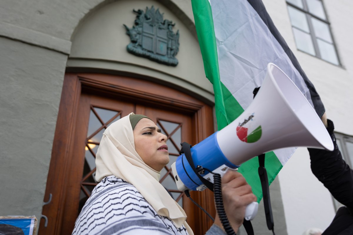 Ísland Palestína mótmæli