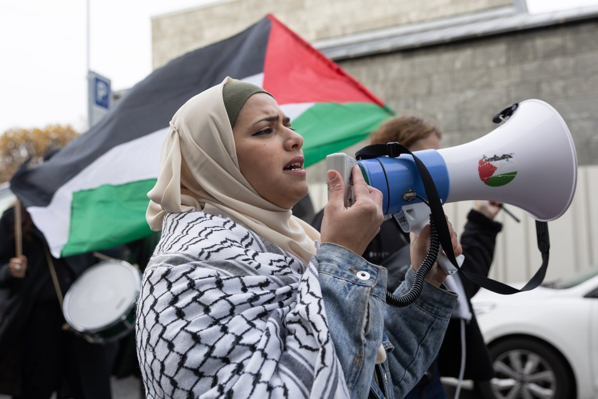 Ísland Palestína mótmæli