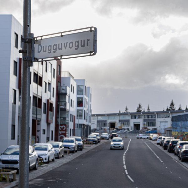 Karlmaður handtekinn vegna líkamsárásar á konu