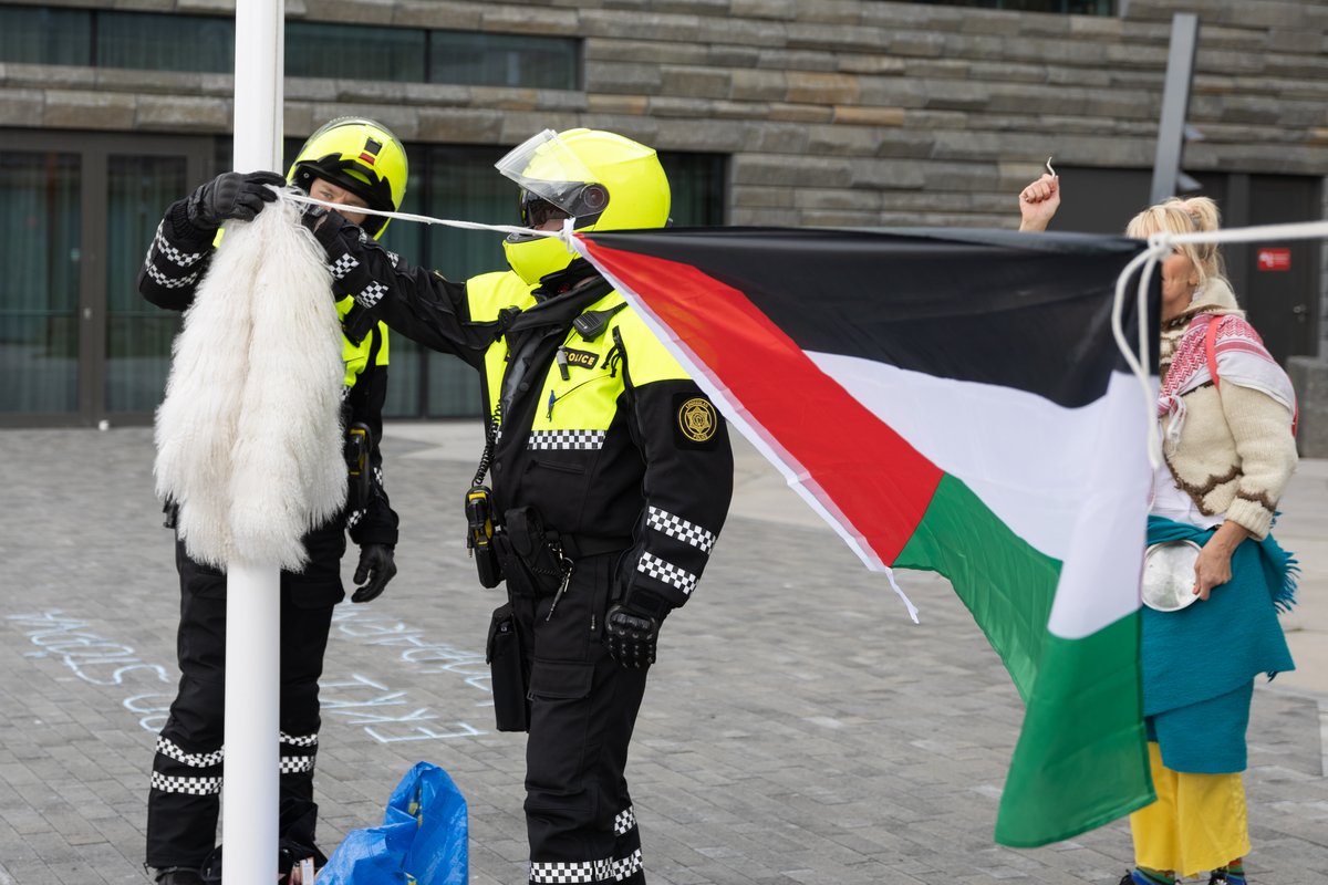 Lögregluþjónar draga niður Palestínska fánann sem mótmælendur höfðu hengt á milli fánastanga utanríkisráðuneytisins