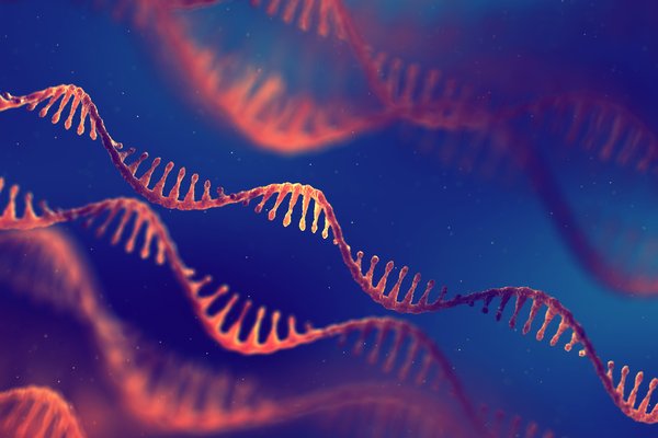 mRNA
