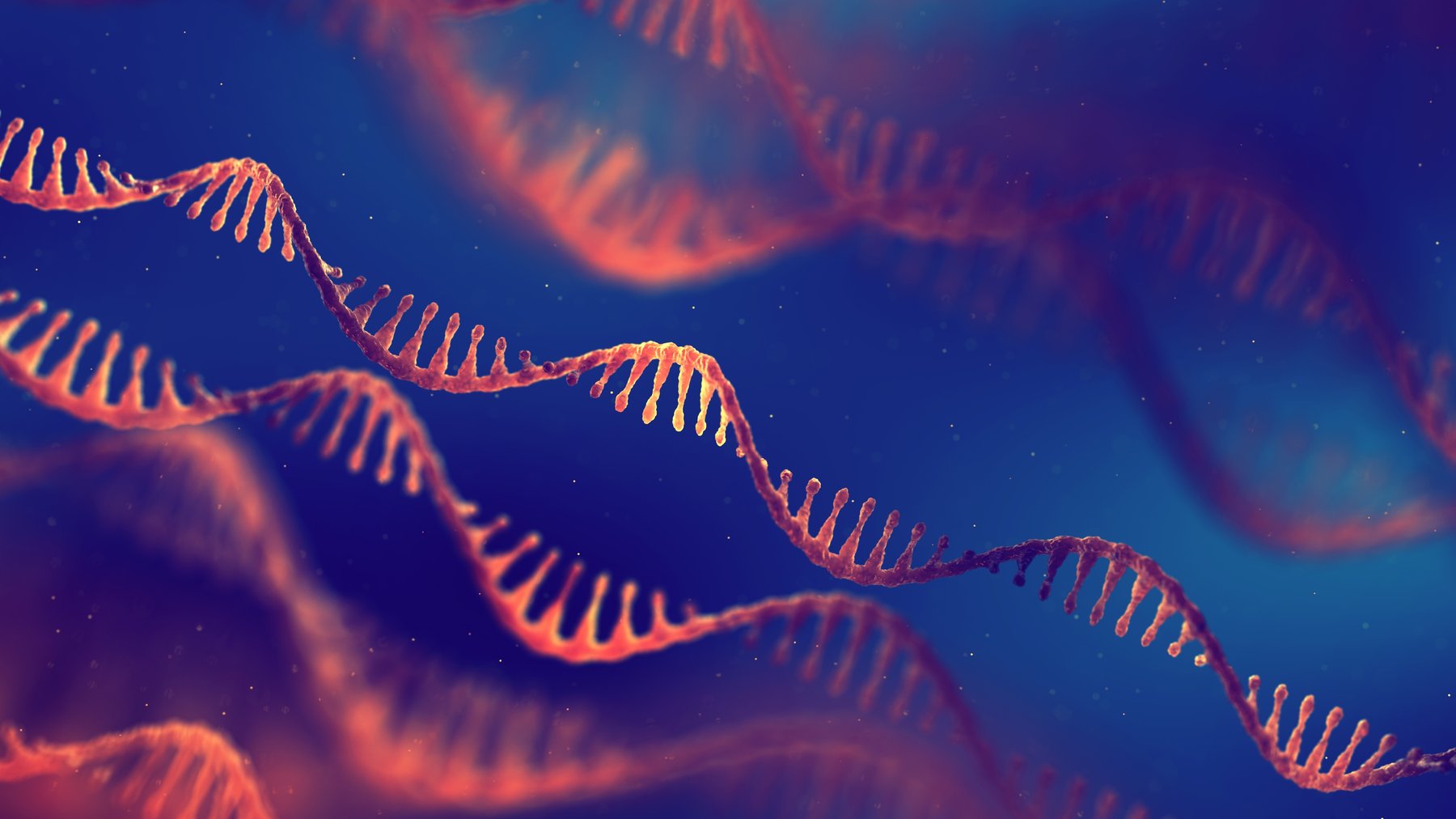 mRNA